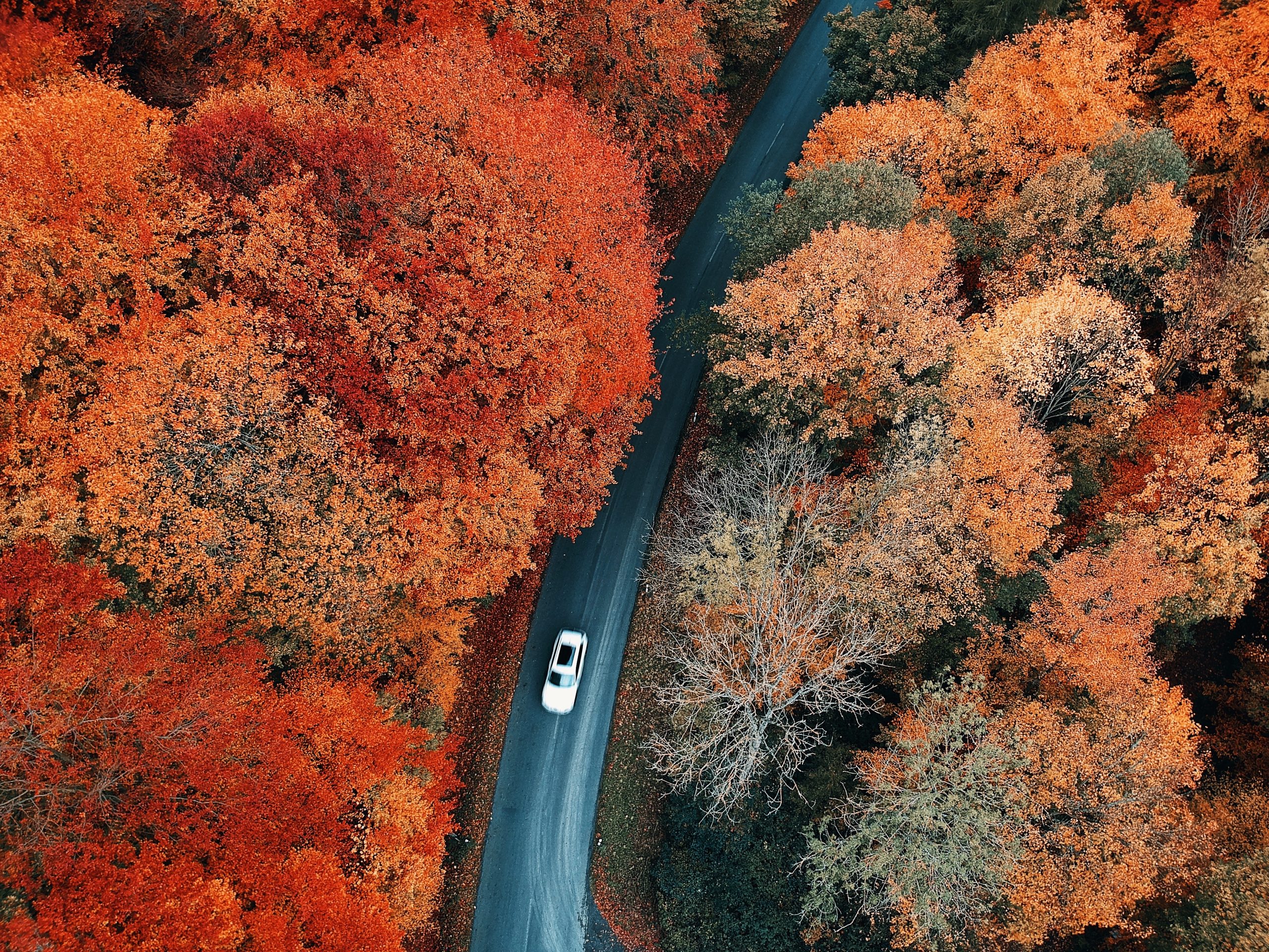 Seasonal EV Maintenance: What to Check in Fall